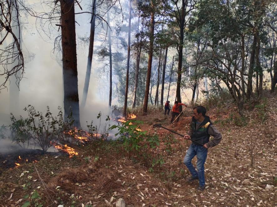 Menace of Forest Fires Continues in Uttarakhand