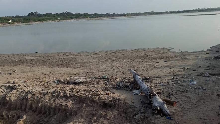 Wastewater discharge from shrimp farms and encroachments have polluted the pond in Mangadu village.