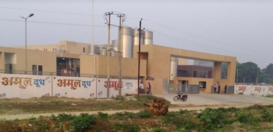 MILK PLANT