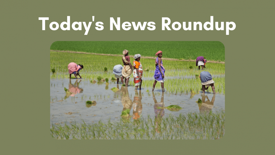 Paddy sowing in Jharkhand worst hit, halves to 8.25 lakh hectares so far, compared with 17.62 lakh hectares in the year-ago period.