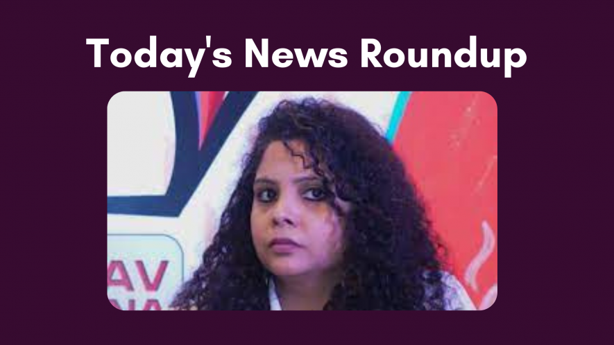 rana ayyub