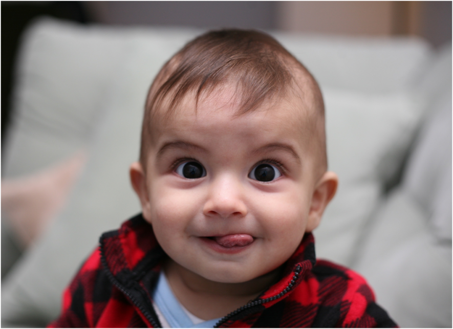 The findings hint at the paramount importance of infant-directed speech used by parents for developing language in their babies.