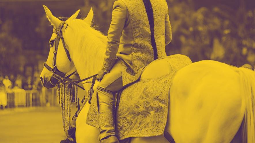 Gujarat: Dalit Groom Attacked During Wedding Procession for Riding Horse; Four Arrested