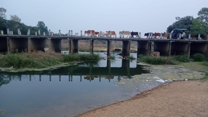 A birbhum river, kopai where sandmining occurs