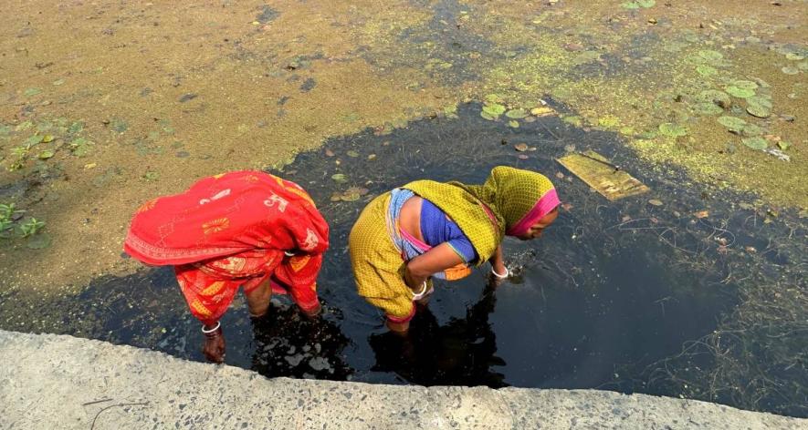 A woman laborer cleaning a makhana pond. Regular cleaning of the pond is considered essential for makhana farming (Photo - Bina Kumari, 101Reporters) .